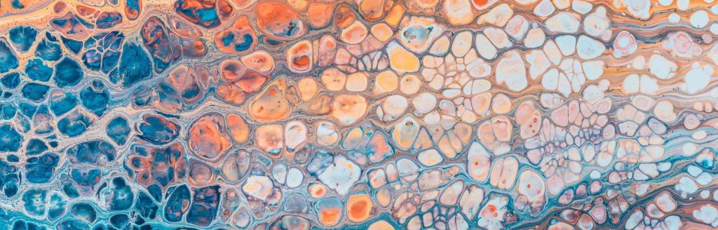 Liquide transitionnel
